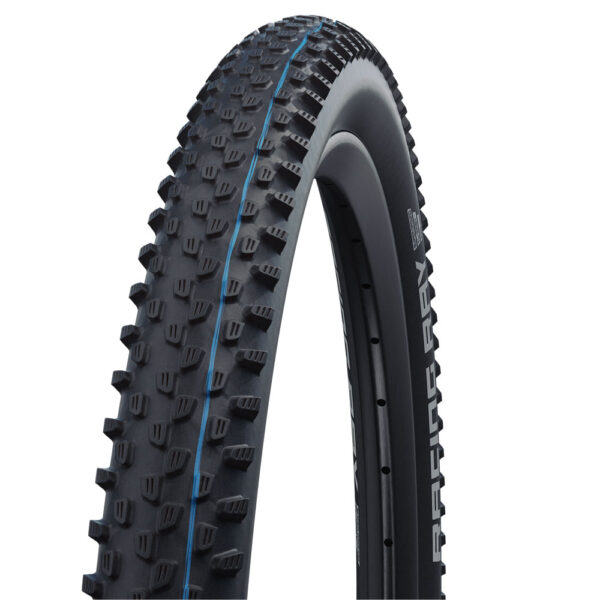 SCHWALBE buitenband Racing Ray Evolution Line HS 489, 67 EPI, vouwbaar, Tubeless Easy