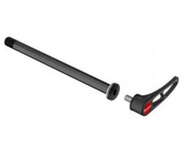 DT RWS Plug-in E Thru Road Steekas Achter
