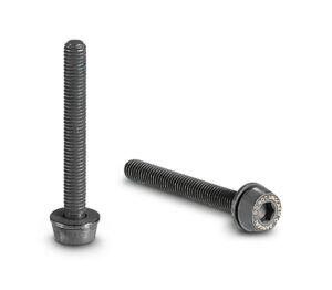 Campagnolo Screws 2 X 24mm 15-19mm Achterremklauw