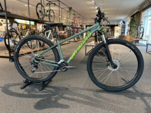 Specialized Rockhopper Base Sage Green/ Olive Green M 2025